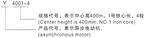 西安泰富西玛Y系列(H355-1000)高压YE2-132S-4三相异步电机型号说明